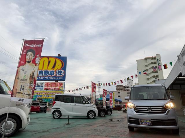 遠目から見てもデイズルークス