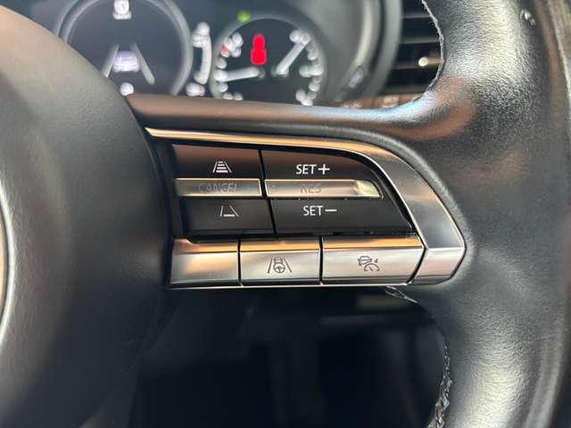 ＭＡＺＤＡ３ファストバック ２０Ｓ　ＴＲＧＳＥＬ　［バーガンディーセレクション／レーダークル（19枚目）