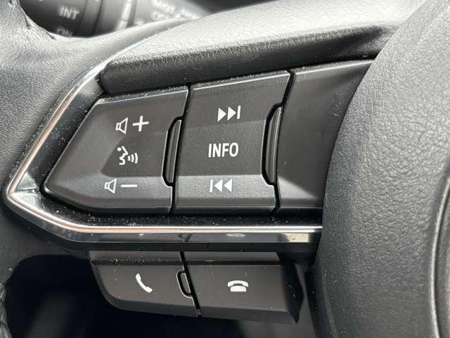 オーディオ操作もステアリングスイッチで対応可能。運転に集中することができますね。