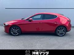 ή褦ʥɥӥ塼̿򴶤ǥǤ 3