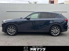 ή���褦�ʥ����ɥӥ塼����̿���򴶤�������ǥ�����Ǥ��� 3