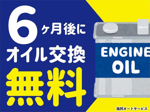 Ｌ　純正ナビ　ＴＶ　ＤＶＤ　ＣＤ　Ｂｌｕｅｔｏｏｔｈ　バックカメラ　ステアリングリモコン　クルーズコントロール(49枚目)