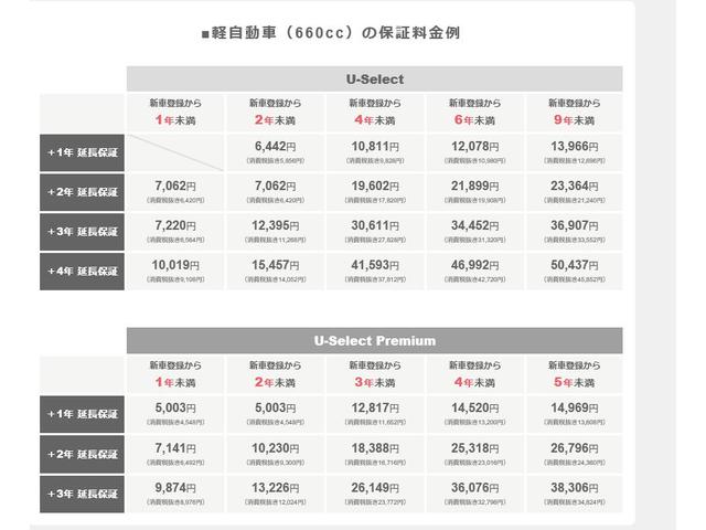 Ｇ・Ｌパッケージ　純正ナビ・バックカメラ・オーディオ・ＴＶ・ドラレコ付内地仕入(25枚目)