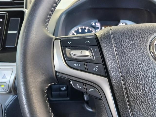 ランドクルーザープラド TX Lパッケージ 革シート サンルーフ 4WD フルセグ メモリーナビ DVD再生 ミュージックプレイヤー接続可 バックカメラ 衝突被害軽減システム ETC LEDヘッドランプ 乗車定員7人 3列シート(24枚目)