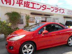   0120382A30251104W001 3