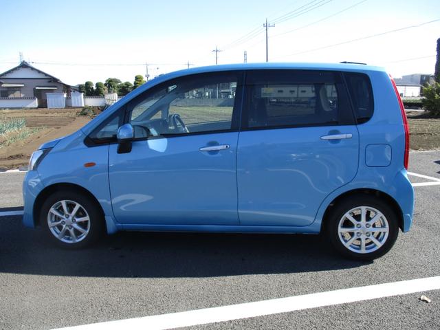 ステラ （6枚目）