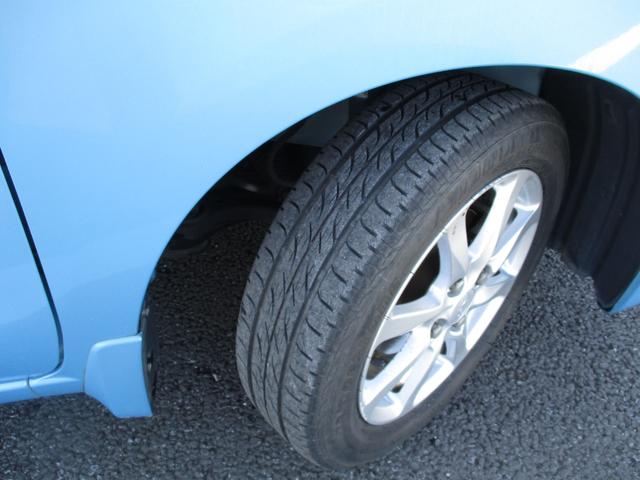 ステラ （9枚目）