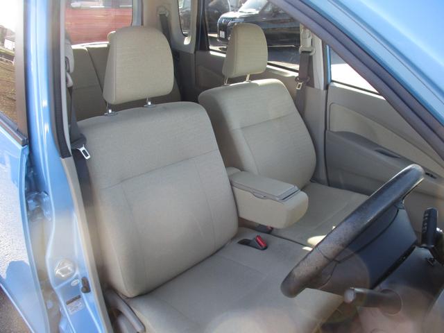 ステラ （10枚目）