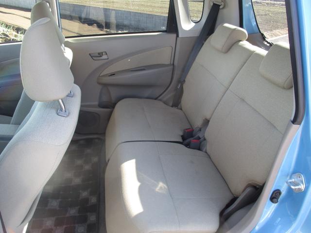 ステラ （13枚目）