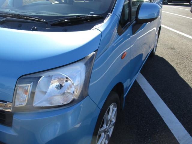 ステラ （17枚目）