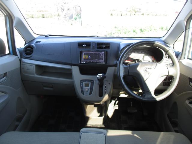 ステラ （24枚目）