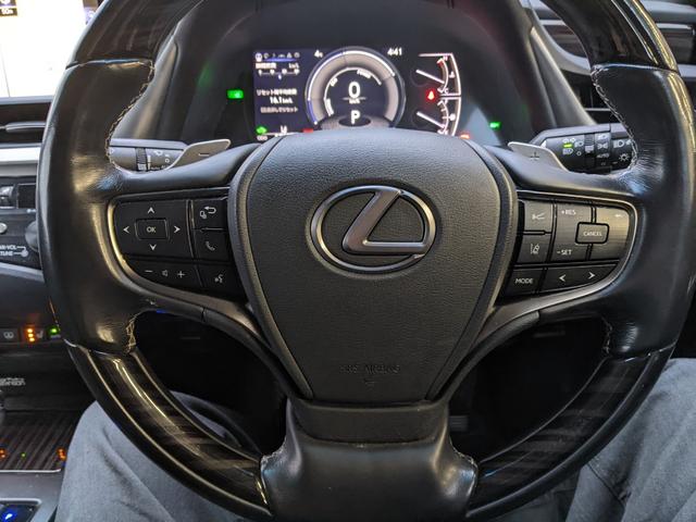 ES ES300h バージョンL 黒革エアシート サンルーフ マークレビンソンTVナビ パノラマビューモニター(14枚目)