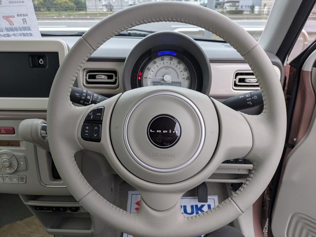 アルトラパン X 届出済未使用車(19枚目)