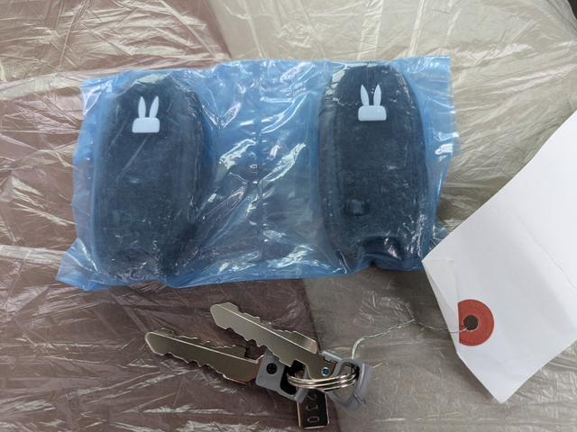 アルトラパン X 届出済未使用車(34枚目)