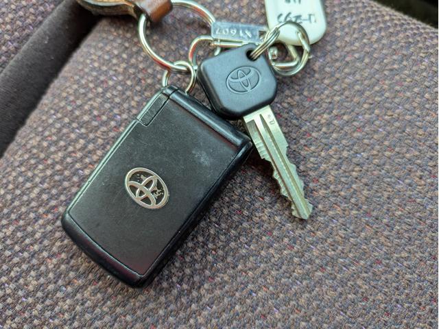 パッソ プラスハナ　アプリコットコレクション（27枚目）