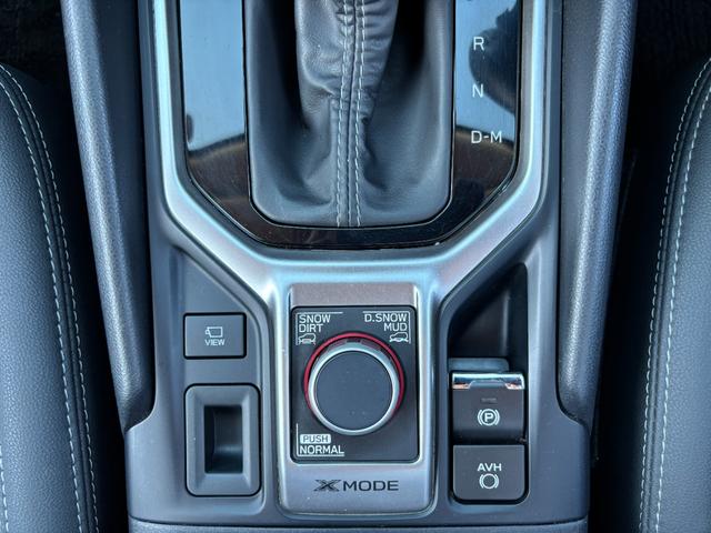 フォレスター アドバンス アドバンス サンルーフ ハーフレザー シートヒーター ステアリングヒーター アダプティブクルーズコントロール サイドカメラ 社外ナビゲーション・フルセグTV・ETC(13枚目)