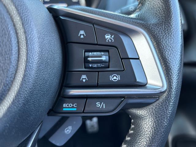 フォレスター アドバンス アドバンス サンルーフ ハーフレザー シートヒーター ステアリングヒーター アダプティブクルーズコントロール サイドカメラ 社外ナビゲーション・フルセグTV・ETC(14枚目)