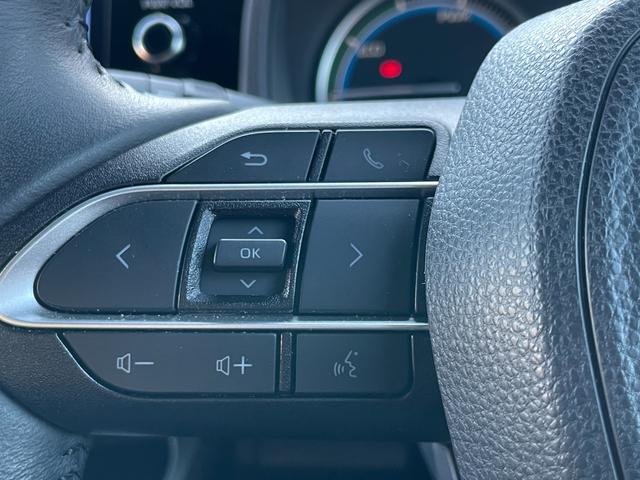 ノア ハイブリッドＳ－Ｇ　ワンオーナー　ナビＴＶ　ＤＶＤ　ＥＴＣ　バックカメラ　追従クルーズコントロール　レーンアシスト　衝突被害軽減ブレーキ　両側スライド・片側電動　オートハイビーム　ＬＥＤヘッドランプ　スマートキー（61枚目）