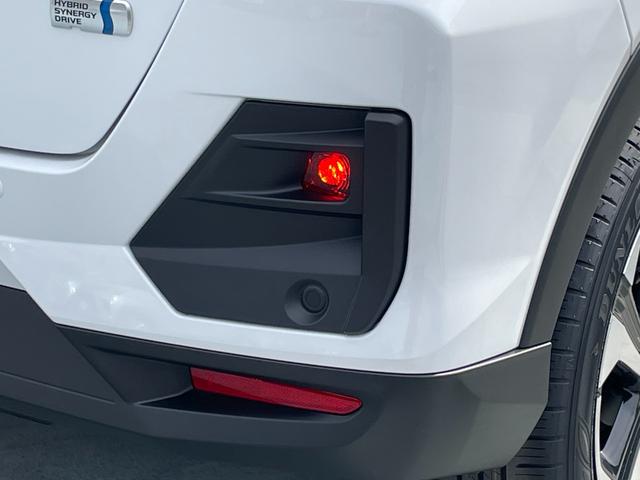 ライズ Z ワンオーナー ディスプレイオーディオ フルセグTV バックカメラ クリアランスソナー 追従クルーズコントロール レーンアシスト 衝突被害軽減システム オートライト LEDヘッドランプ 電動格納ミラー(29枚目)