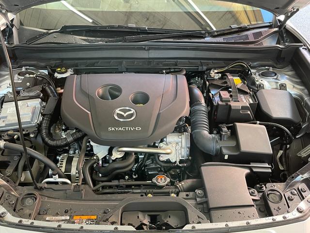 ＣＸ－３０ ＸＤ　Ｌパッケージ　ユーザー買取車　白レザーシート　純正ナビ　フルセグＴＶ　ＤＶＤモジュール　全方位カメラ　ブラインドスポットモニター　ＥＴＣ　衝突被害軽減ブレーキ　追従クルーズコントロール　シートヒーター　オートライト（22枚目）