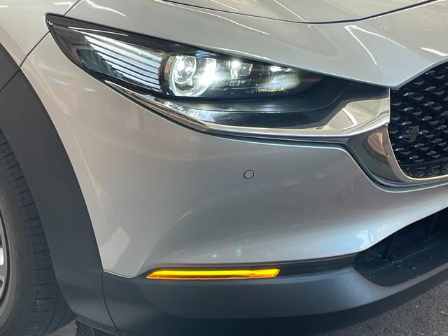 ＣＸ－３０ ＸＤ　Ｌパッケージ　ユーザー買取車　白レザーシート　純正ナビ　フルセグＴＶ　ＤＶＤモジュール　全方位カメラ　ブラインドスポットモニター　ＥＴＣ　衝突被害軽減ブレーキ　追従クルーズコントロール　シートヒーター　オートライト（39枚目）