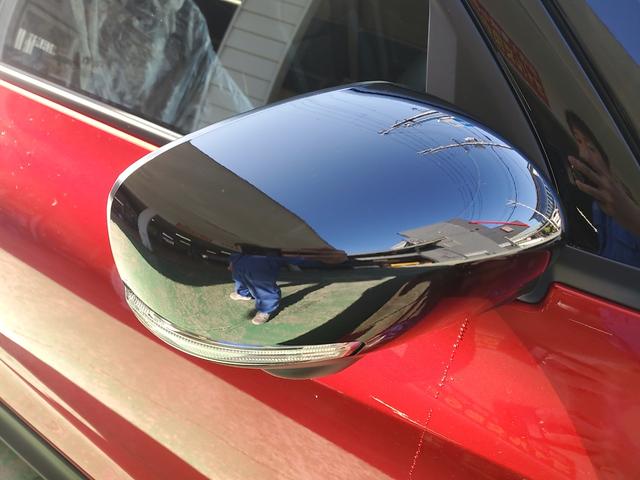 スイフトスポーツ ＺＣ３３Ｓ　ファイナルエディション　特別仕様車　６ＭＴ　ターボ　オートクルーズコントロール　全方位モニター用カメラ　衝突被害軽減ブレーキ　シートヒーター　登録済未使用車（44枚目）