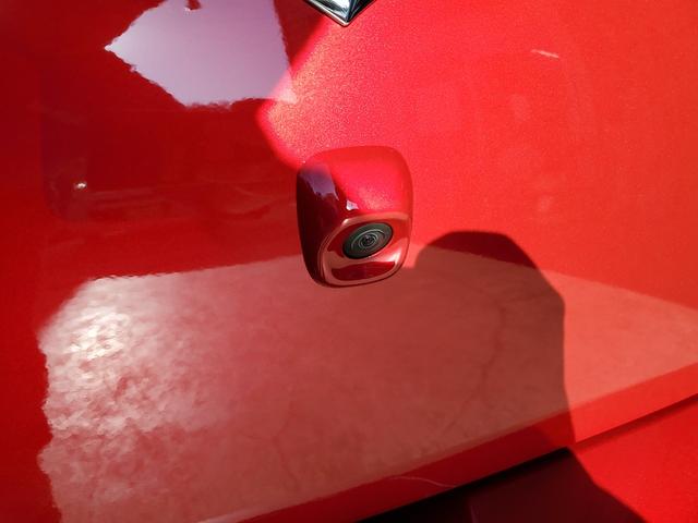 スイフトスポーツ ＺＣ３３Ｓ　ファイナルエディション　特別仕様車　６ＭＴ　ターボ　オートクルーズコントロール　全方位モニター用カメラ　衝突被害軽減ブレーキ　シートヒーター　登録済未使用車（53枚目）