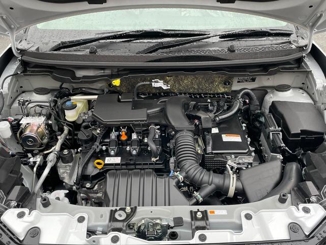 ライズ Ｚ　ワンオーナー　フルセグＴＶ　バックカメラ　９インチディスプレイオーディオ　ＥＴＣ２．０　衝突被害軽減ブレーキ　追従クルコン　ブラインドスポットモニター　マット　インテリアイルミ　ドアハンドルイルミ（21枚目）