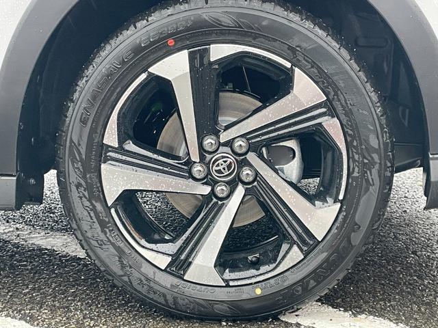 ライズ Ｚ　ワンオーナー　フルセグＴＶ　バックカメラ　９インチディスプレイオーディオ　ＥＴＣ２．０　衝突被害軽減ブレーキ　追従クルコン　ブラインドスポットモニター　マット　インテリアイルミ　ドアハンドルイルミ（67枚目）