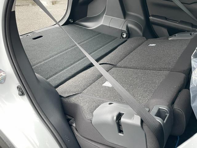 ライズ Ｚ　ワンオーナー　フルセグＴＶ　バックカメラ　９インチディスプレイオーディオ　ＥＴＣ２．０　衝突被害軽減ブレーキ　追従クルコン　ブラインドスポットモニター　マット　インテリアイルミ　ドアハンドルイルミ（78枚目）