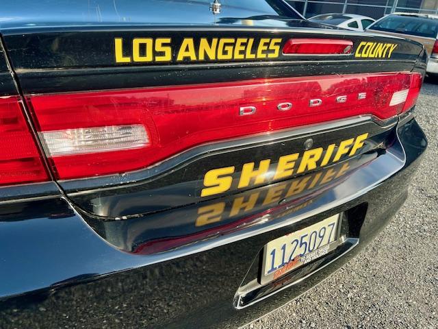 ダッジ・チャージャー ポリス(17枚目)