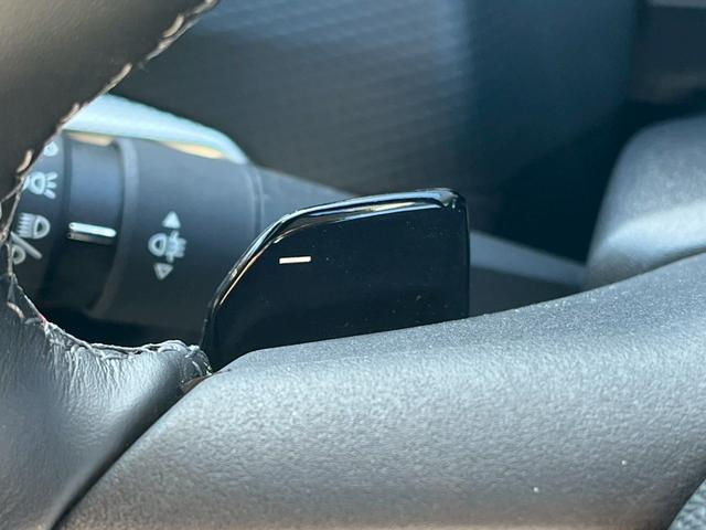 DS4 リヴォリ ブルーHDi AppleCarPlay/FOCALサウンド/シートクーラ/シートヒータ/全方位カメラ/アダプティブクルーズコントロール/ヘッドアップディスプレイ/メモリー付きパワーシート/ブラインドスポットモニター(36枚目)