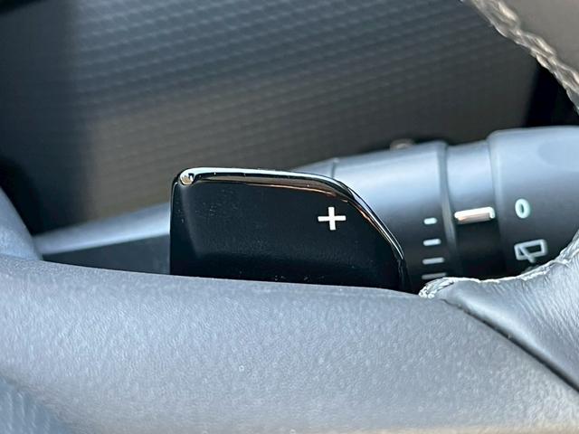 DS4 リヴォリ ブルーHDi AppleCarPlay/FOCALサウンド/シートクーラ/シートヒータ/全方位カメラ/アダプティブクルーズコントロール/ヘッドアップディスプレイ/メモリー付きパワーシート/ブラインドスポットモニター(37枚目)