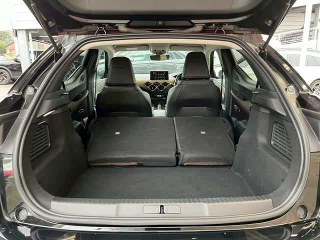 DS AUTOMOBILES DS3 CROSSBACK SO CHIC