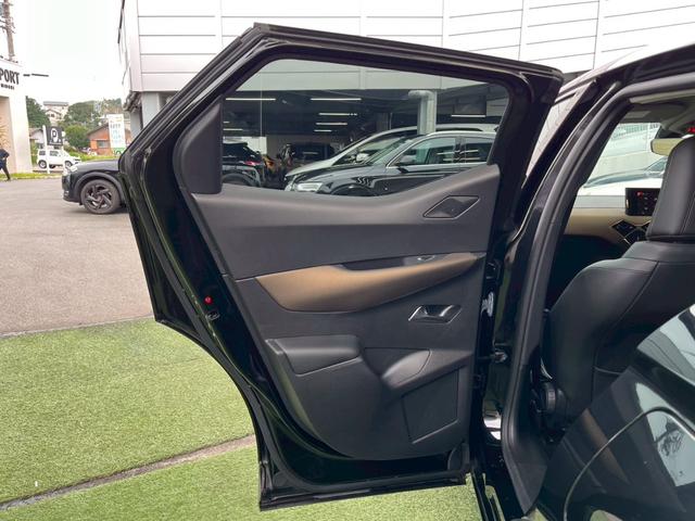 DS AUTOMOBILES DS3 CROSSBACK SO CHIC