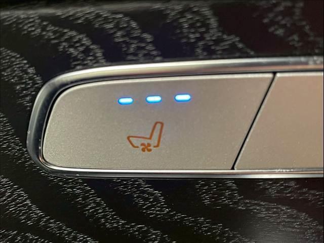 GLC GLC 220 d 4MATIC クーペ AMGライン サンルーフ/レザーエクスクルーシブPKG/ブルメスターサウンド/シートベンチレーション/シートヒータ/エアサス/パワーシート/パワーバックドア/アダプティブクルーズコントロール/ブラインドスポット(10枚目)