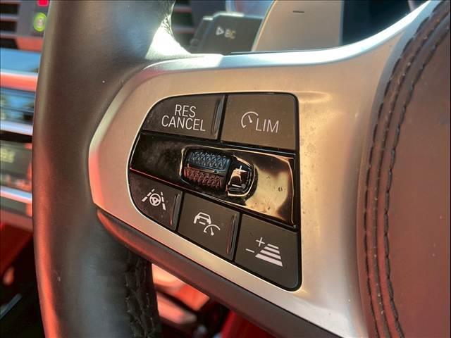 X4 xDrive 20d Mスポーツ サンルーフ/AppleCarPlay/OP20インチAW/赤革/シートヒータ/パワーシート/アダプティブクルーズコントロール/ブラインドスポットモニター/パワーバックドア/ヘッドアップディスプレイ(10枚目)