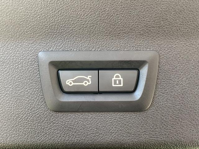 X4 xDrive 20d Mスポーツ サンルーフ/AppleCarPlay/OP20インチAW/赤革/シートヒータ/パワーシート/アダプティブクルーズコントロール/ブラインドスポットモニター/パワーバックドア/ヘッドアップディスプレイ(74枚目)