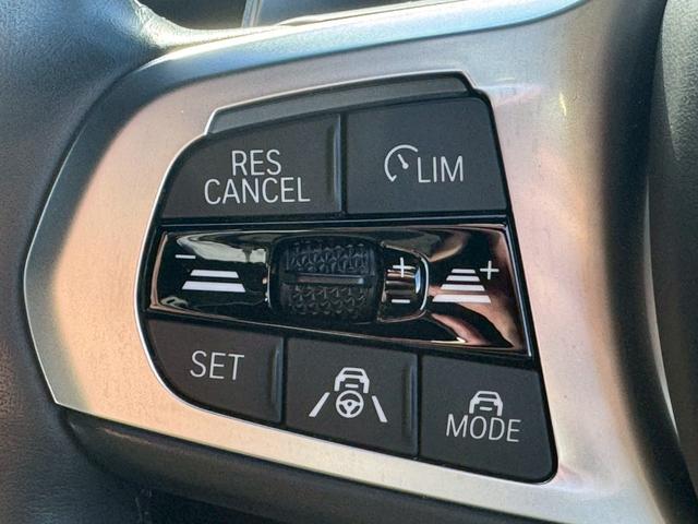 X7 xDrive 35d Mスポーツ ウェルネスパッケージ/サンルーフ/ハーマンカードン/エアサス/OP22インチAW/CarPlay/パワーシート/シートベンチレーション/シートヒーター/アダプティブクルーズコントロール/ETC車載器(31枚目)