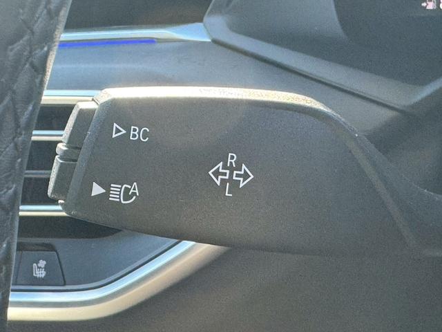 X7 xDrive 35d Mスポーツ ウェルネスパッケージ/サンルーフ/ハーマンカードン/エアサス/OP22インチAW/CarPlay/パワーシート/シートベンチレーション/シートヒーター/アダプティブクルーズコントロール/ETC車載器(33枚目)