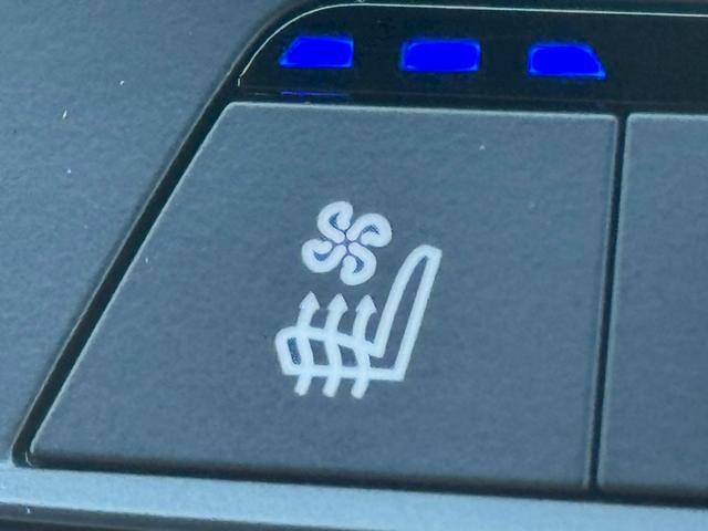 X7 xDrive 35d Mスポーツ ウェルネスパッケージ/サンルーフ/ハーマンカードン/エアサス/OP22インチAW/CarPlay/パワーシート/シートベンチレーション/シートヒーター/アダプティブクルーズコントロール/ETC車載器(42枚目)