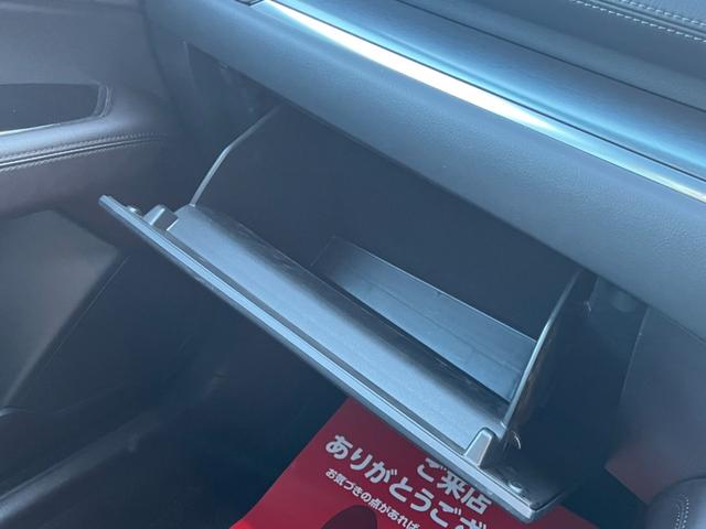 XDプロアクティブ 純正ナビ 地デジ 全周囲カメラ シートヒーター パワーシート ETC 後席モニター LEDヘッドライト クルーズコントロール 純正19AW 7人乗り(47枚目)