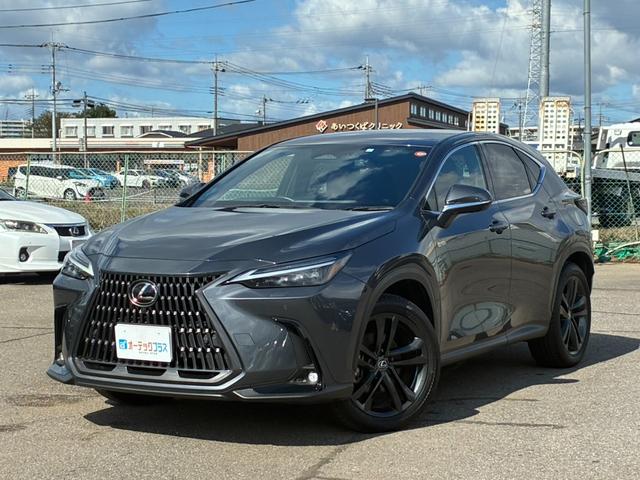 ＮＸ ＮＸ３５０ｈ　バージョンＬ　本革シート　プリクラッシュセーフティ　純正ナビ　全周囲カメラ　フルセグ　シートヒーター・ベンチレーター　パワーバックドア　オートマチックハイビーム　パワーシート　２０インチアルミホイール　ＥＴＣ２．０（3枚目）