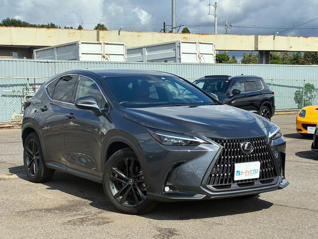 ＮＸ ＮＸ３５０ｈ　バージョンＬ　本革シート　プリクラッシュセーフティ　純正ナビ　全周囲カメラ　フルセグ　シートヒーター・ベンチレーター　パワーバックドア　オートマチックハイビーム　パワーシート　２０インチアルミホイール　ＥＴＣ２．０（5枚目）