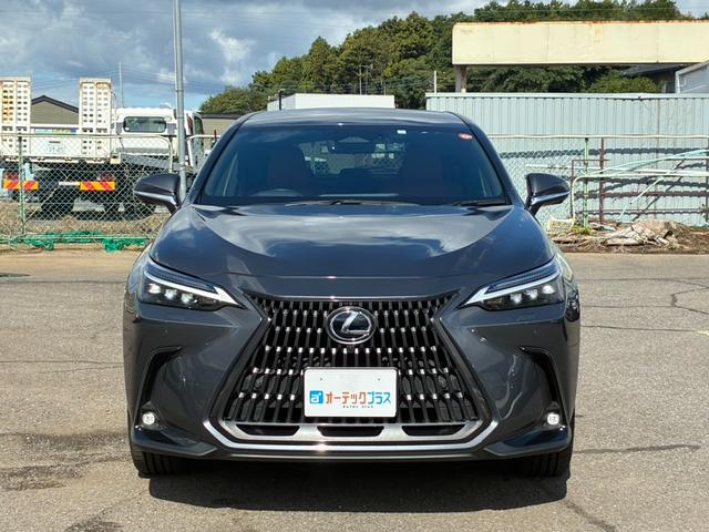ＮＸ ＮＸ３５０ｈ　バージョンＬ　本革シート　プリクラッシュセーフティ　純正ナビ　全周囲カメラ　フルセグ　シートヒーター・ベンチレーター　パワーバックドア　オートマチックハイビーム　パワーシート　２０インチアルミホイール　ＥＴＣ２．０（7枚目）