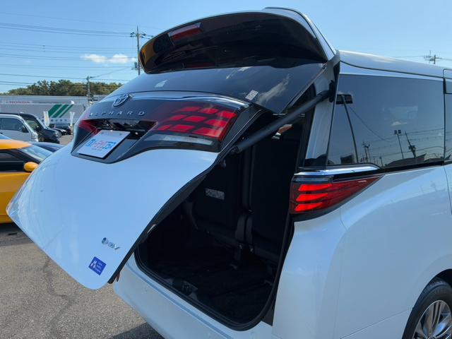 アルファードハイブリッド Ｚ　ムーンルーフ　ユニバーサルステップ　革シート　アラウンドビューモニター　デジタルインナーミラー　アダプティブクルーズコントロール　両側電動スライドドア　純正ナビ　フルセグ　シートヒーター・エアコン（52枚目）