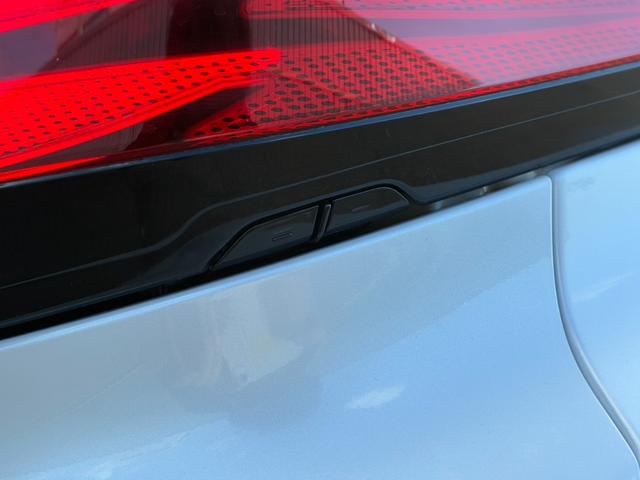 アルファードハイブリッド Ｚ　ムーンルーフ　ユニバーサルステップ　革シート　アラウンドビューモニター　デジタルインナーミラー　アダプティブクルーズコントロール　両側電動スライドドア　純正ナビ　フルセグ　シートヒーター・エアコン（53枚目）