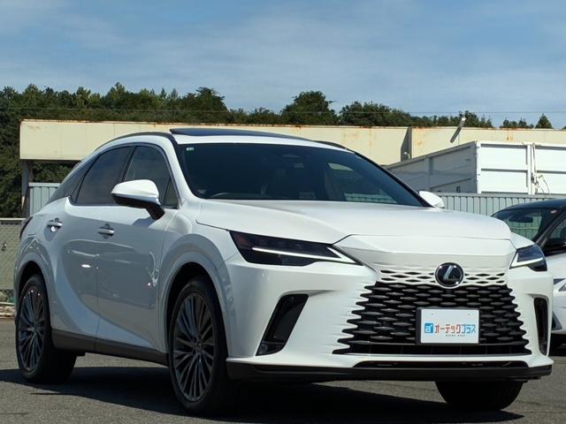 RX RX350h バージョンL サンルーフ 本革シート ステアリングヒーター 純正ナビ 全周囲カメラ フルセグ クルーズコントロール シートヒーター/クーラー 電動リアゲート 純正21インチアルミホイール レーンキープアシスト(12枚目)