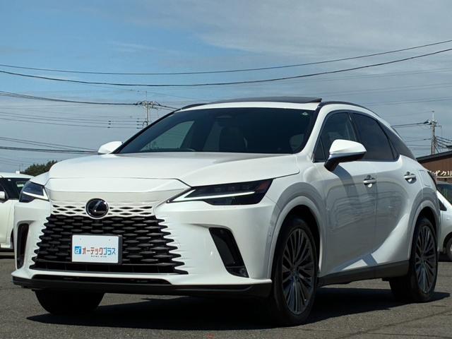 RX RX350h バージョンL サンルーフ 本革シート ステアリングヒーター 純正ナビ 全周囲カメラ フルセグ クルーズコントロール シートヒーター/クーラー 電動リアゲート 純正21インチアルミホイール レーンキープアシスト(13枚目)
