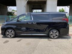 ե ءǥꥹեƥ󥹡ʥӡʥ֥å 0128681A30251029W001 5